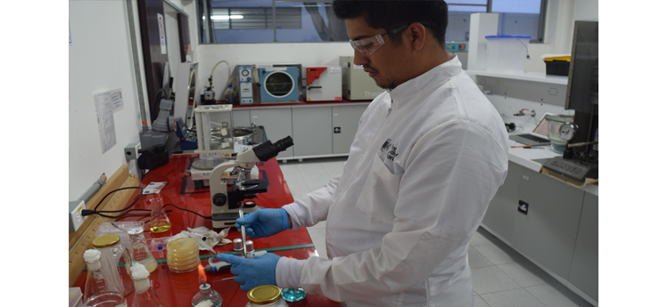 UPB recibe patente por proceso qumico para mejorar las cualidades de una bacteria paisa