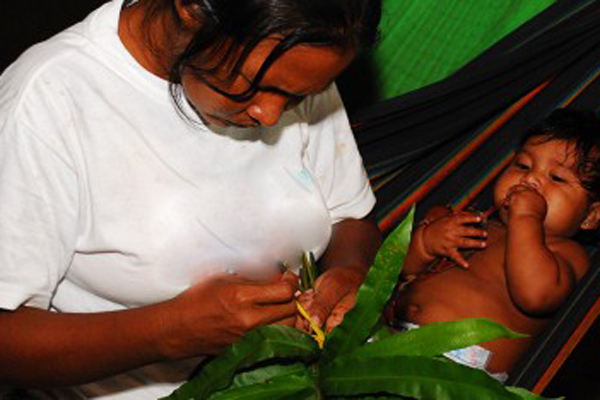 UNIMINUTO, y Minsap, en proyecto de cooperacin entre Colombia y Cuba para estudiar plantas medicinales