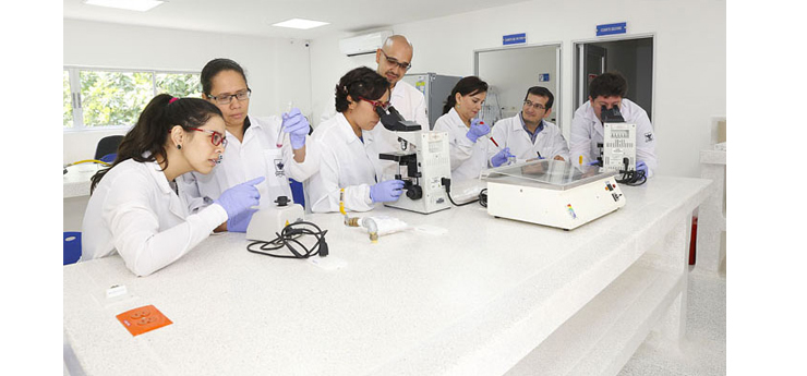 Universidad de Santander adelanta proyecto que podra beneficiar a personas infectadas por Escherichia Coli