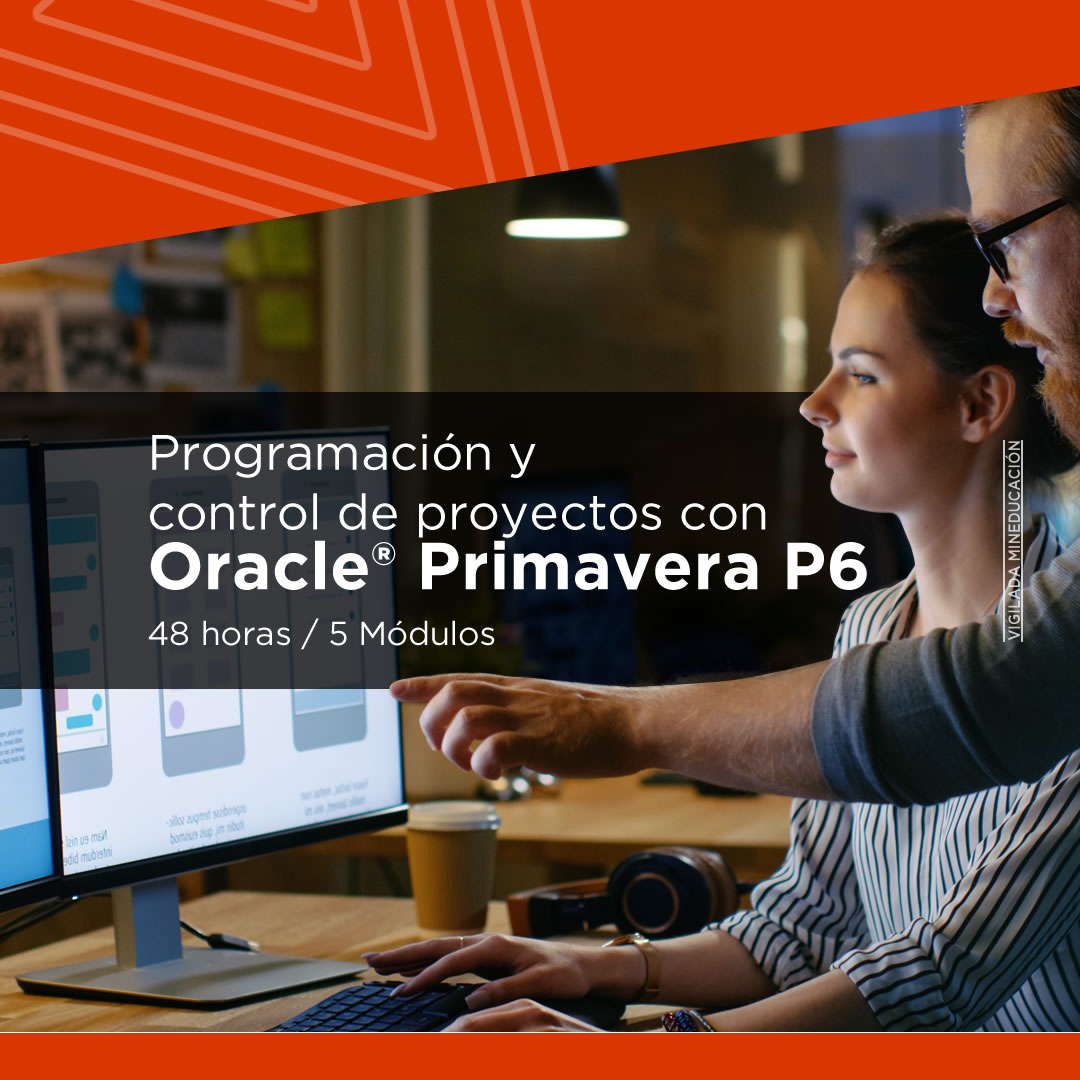 Programacin y Control de Proyectos con Oracle Primavera P6
